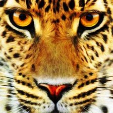 Схема вышивки «хищник»