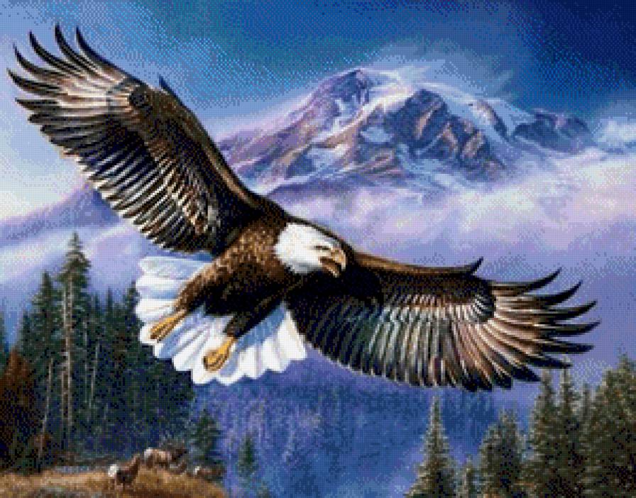 №696988 - предпросмотр