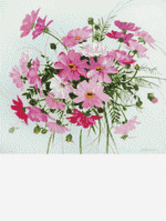 Полевые цыеты - цветы - предпросмотр