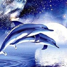 Схема вышивки «дельфины»