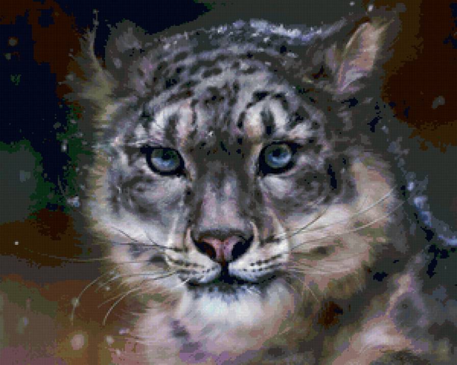 Взгляд хищника - хищник, дикие кошки, животные - предпросмотр