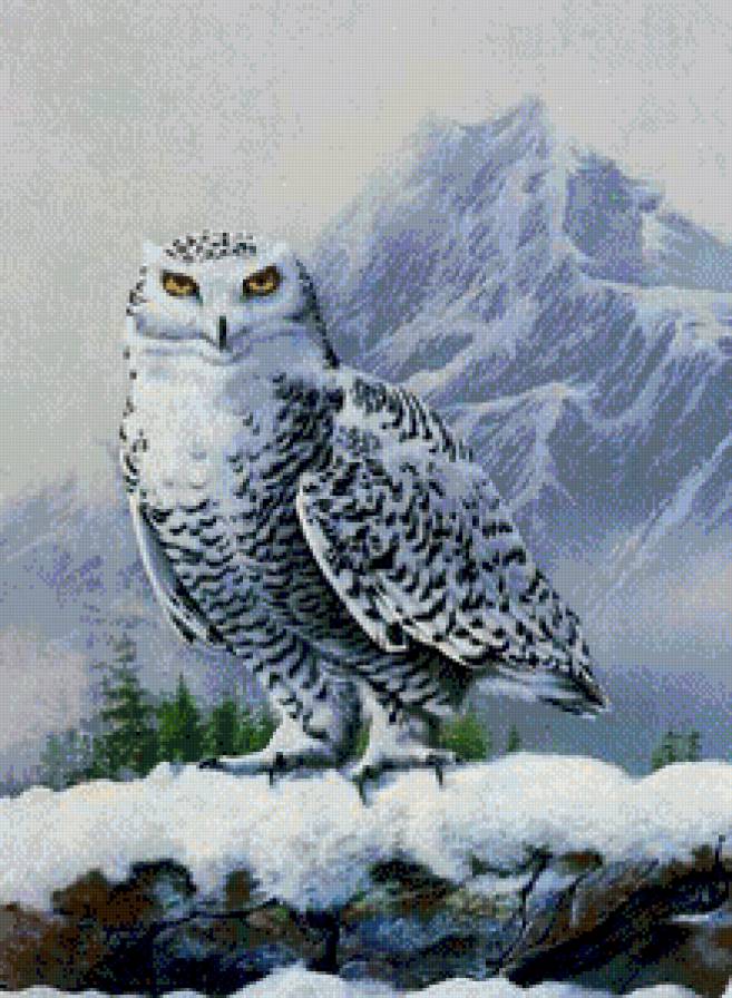 №697189 - предпросмотр