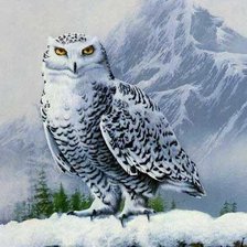 Схема вышивки «№697189»