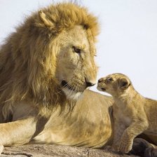 Схема вышивки «№697227»