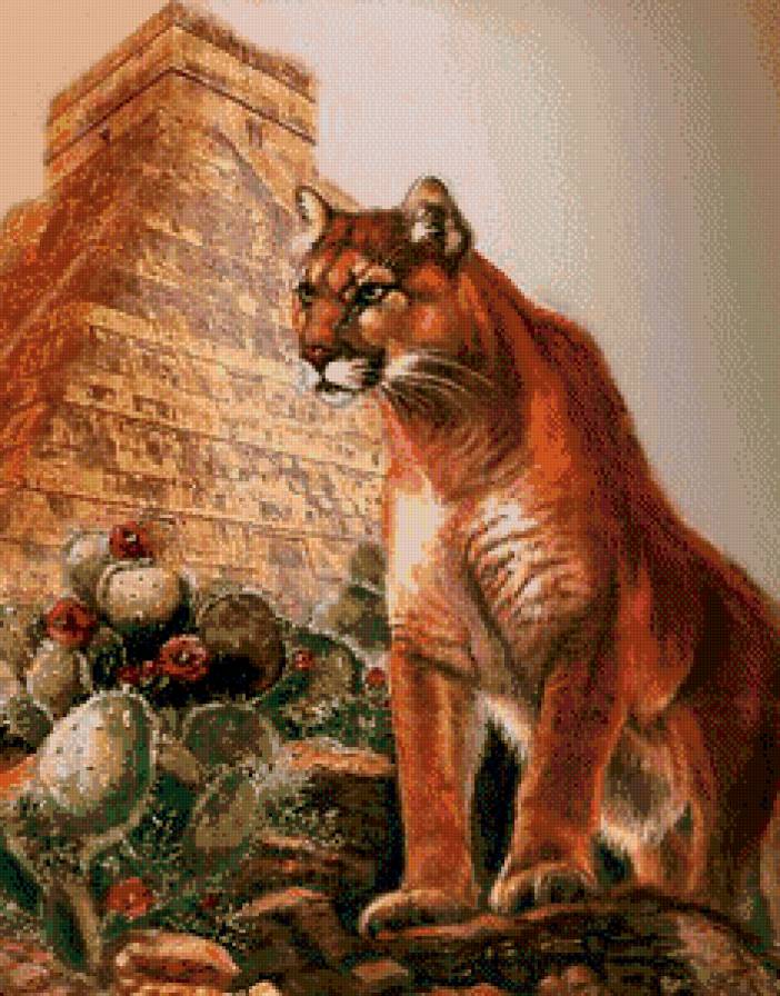 Пума - хищники, дикие животные, пума - предпросмотр