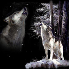 Схема вышивки «Волк»