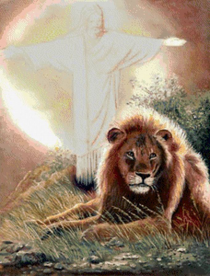 Лев - лев, хищники, дикие животные - предпросмотр