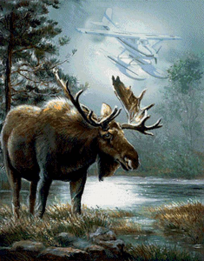 Лось - лось, дикие животные - предпросмотр