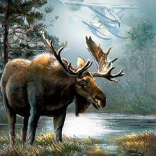 Схема вышивки «Лось»