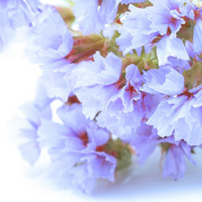 Схема вышивки «№697414»