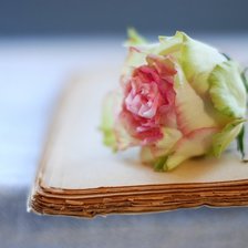 Схема вышивки «№697416»