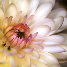 Схема вышивки «№697419»