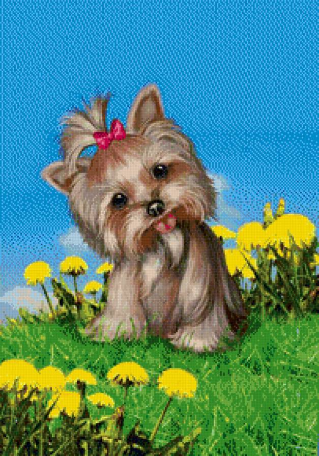 милый щеночек - собачки, животные, щенок, собака, собачка - предпросмотр