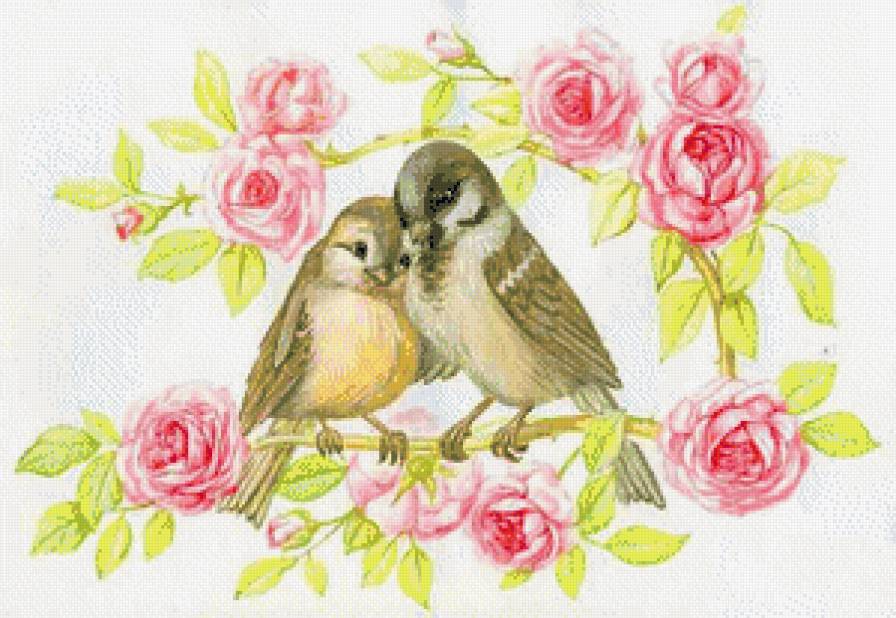 воробушки - любовь, воробей, нежность, птицы, птички - предпросмотр