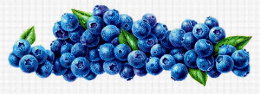 Черника - ягоды, на кухню, ягода - предпросмотр