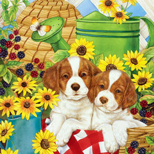 Схема вышивки «2542»