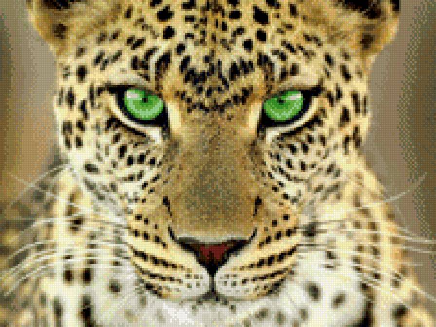 Леопард - животние - предпросмотр