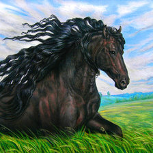 Схема вышивки «лошадка»