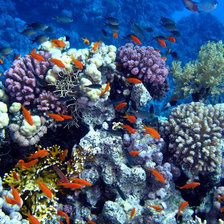 Схема вышивки «№698315»