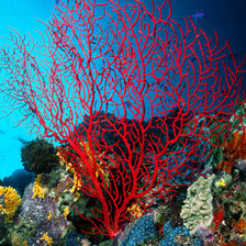 Схема вышивки «№698317»