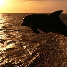 Схема вышивки «№698320»