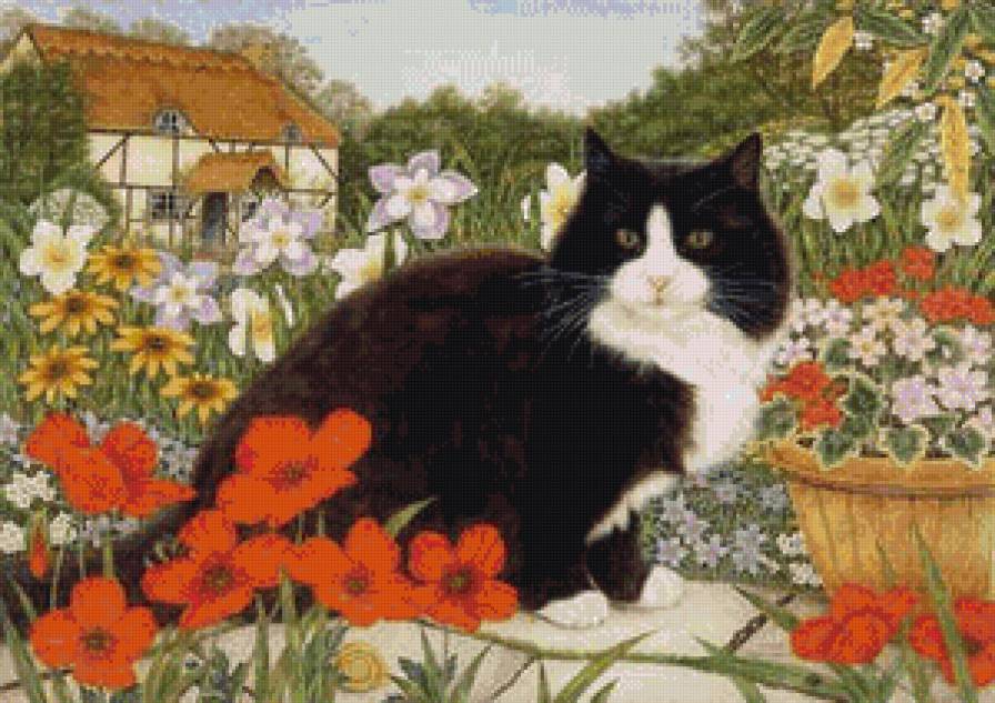 садовод - котики, коты, кот - предпросмотр