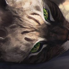 Схема вышивки «Кошачий взгляд»