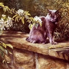 Схема вышивки «на прогулке»