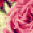 Предпросмотр схемы вышивки «Розы» (№698774)