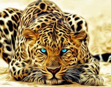 Схема вышивки «большая кошка»