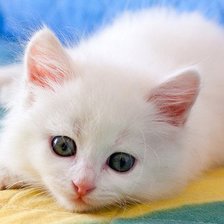 Схема вышивки «№698952»