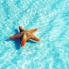 Схема вышивки «№698985»