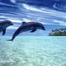 Схема вышивки «№698989»