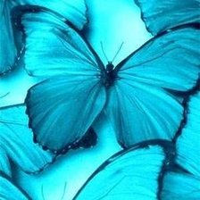 Схема вышивки «№699007»