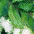 Предпросмотр схемы вышивки «букет черемухи» (№699040)