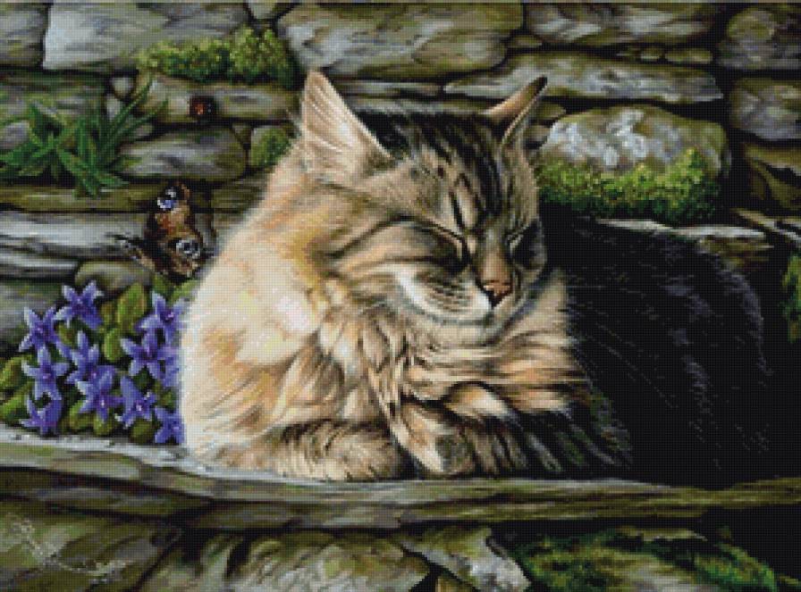 портрет красавчика - спящие, кот, котики, коты - предпросмотр