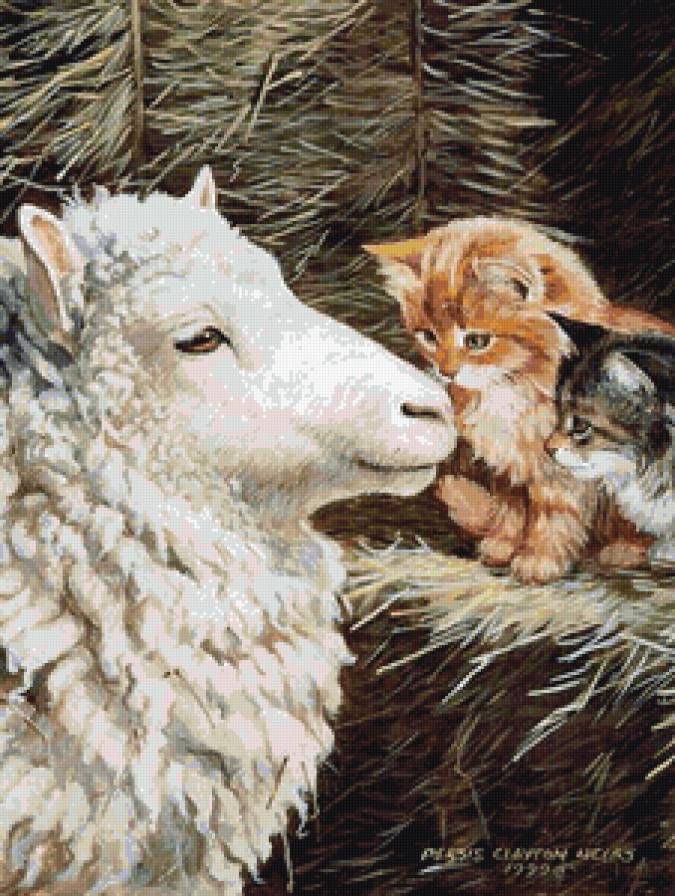 знакомство - животные, котики, коты - предпросмотр