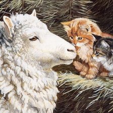 знакомство