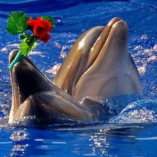 Схема вышивки «№699127»