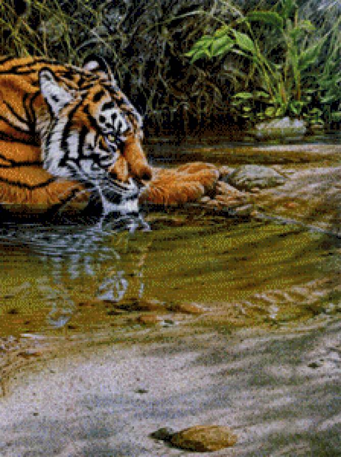 1 - предпросмотр