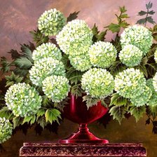 Схема вышивки «№699194»