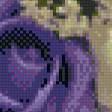 Предпросмотр схемы вышивки «квіти» (№699293)