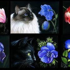 кошачее панно