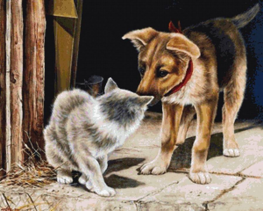 знакомство - животные, собака, кот, коты, котики - предпросмотр