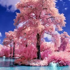 Схема вышивки «№699529»