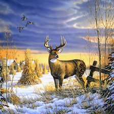 Схема вышивки «№699536»