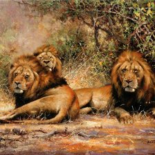 Схема вышивки «львы»