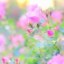 Схема вышивки «№699716»