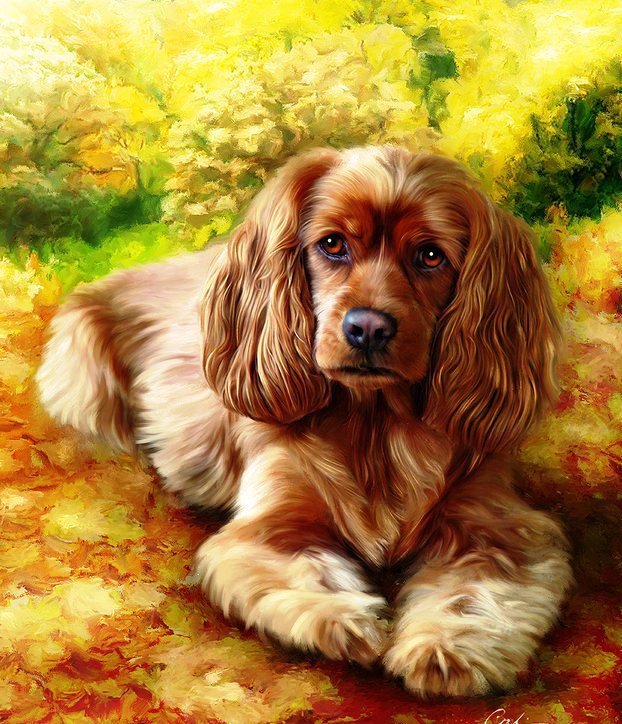 милашка - пано, собаки, животные - оригинал