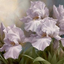 Схема вышивки «ирисы»